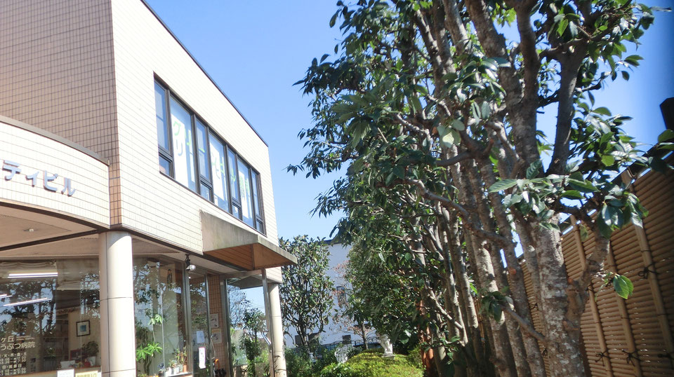 グリーンヒルデンタルクリニックのメイン写真